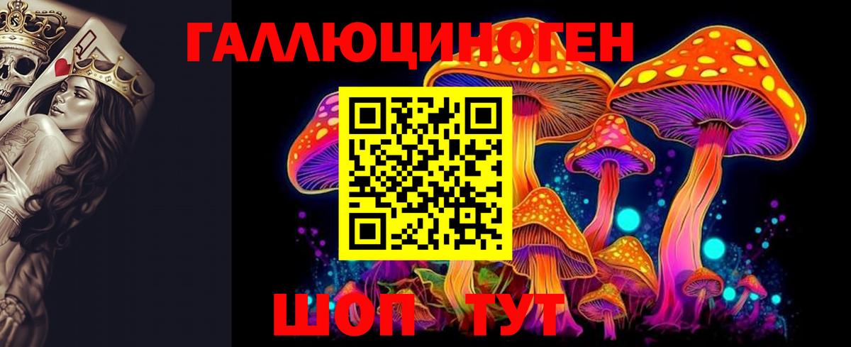 Псилоцибиновые грибы Psilocybine cubensis  Вход с VPN  купить  цена  Галлюциногенные грибы мицелий  Волоколамск 